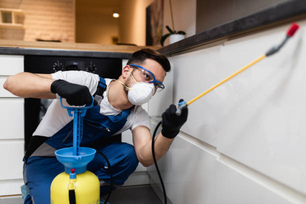 Best Mosquito Control Services  in Jamestown, KY