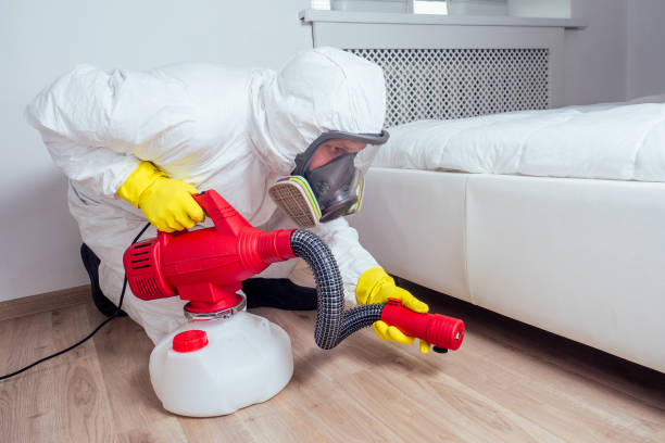 Best Pest Removal Services  in Jamestown, KY