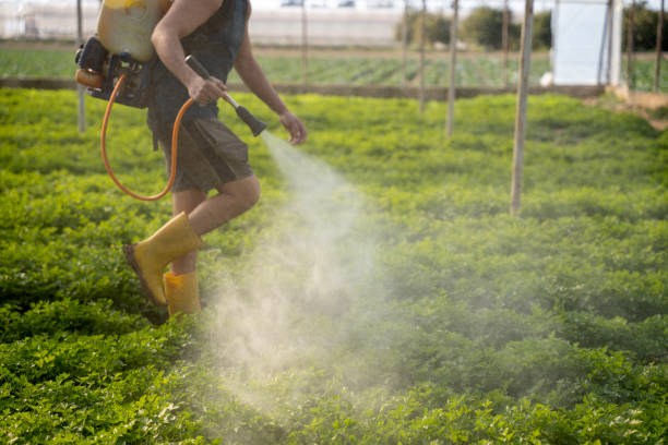 Best Pest Prevention Services  in Jamestown, KY